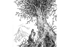 albero_web