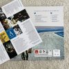 Lemuri Il Visionario – Viaggio al centro di un Cuore Blu ( Vinile ) - immagine 3