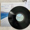 Lemuri Il Visionario – Viaggio al centro di un Cuore Blu ( Vinile ) - immagine 4